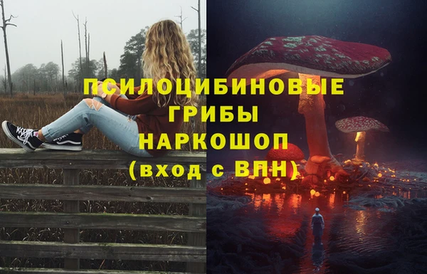 соль курить ск Богданович